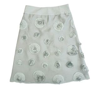 Down East applique Blue Lined A-Line Skirt Size Size S